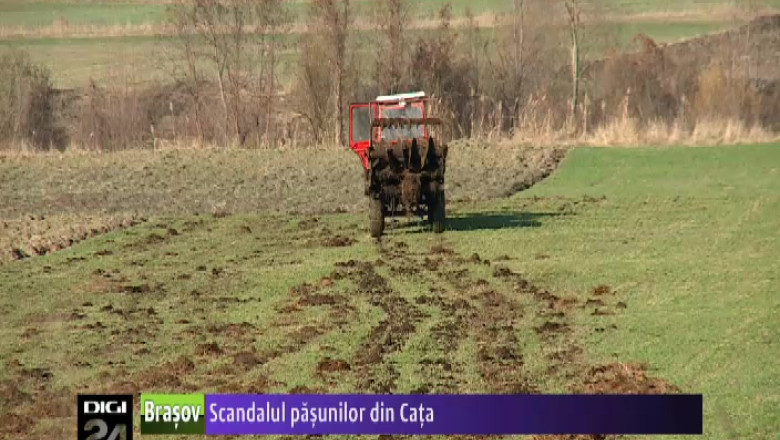 Scandalul pasunilor din Cata. Primarul este acuzat ca a acordat ilegal contracte de cesiune Imagine