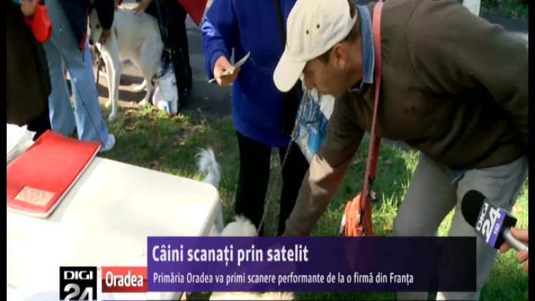 Scanere din Franta pentru depistarea celor care isi abandoneaza cainii in Oradea Imagine