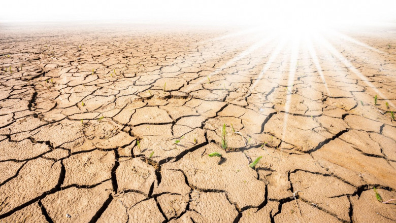 Scenariul meteo pentru Romania: In Baragan va fi ca in Sahara, se va ajunge la 50 de grade C in vara lui 2050 Imagine