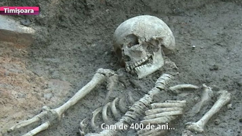 Schelete umane descoperite in centrul Timisoarei. Cercetarile arheologice, ca o lectie deschisa Imagine
