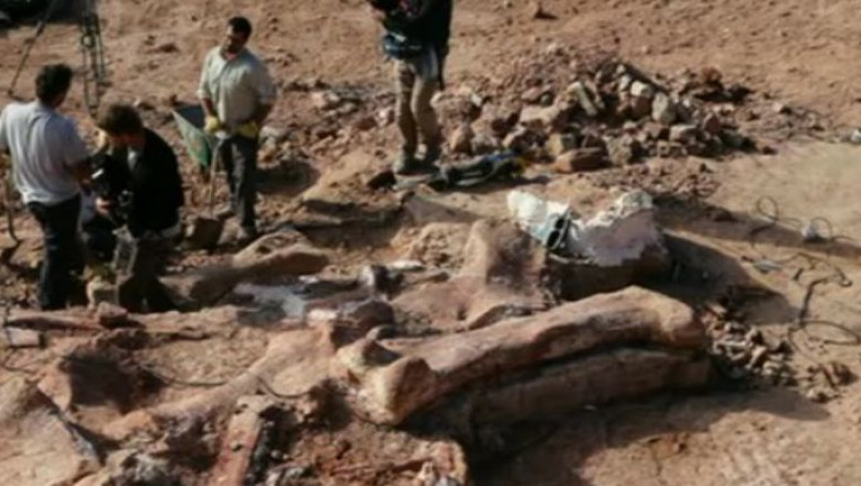Scheletul celui mai mare dinozaur cunoscut pana acum, dezgropat in Argentina Imagine