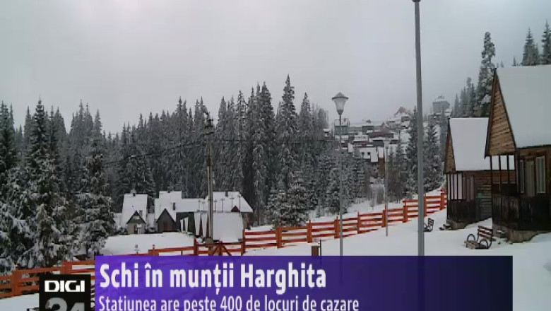 Schi in muntii Harghita Imagine
