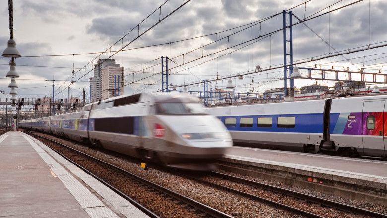 Schimbari in regulamentul cailor ferate franceze din cauza unei pisici: trenurile pot amana plecarea daca un animal ajunge sub vagoane Imagine