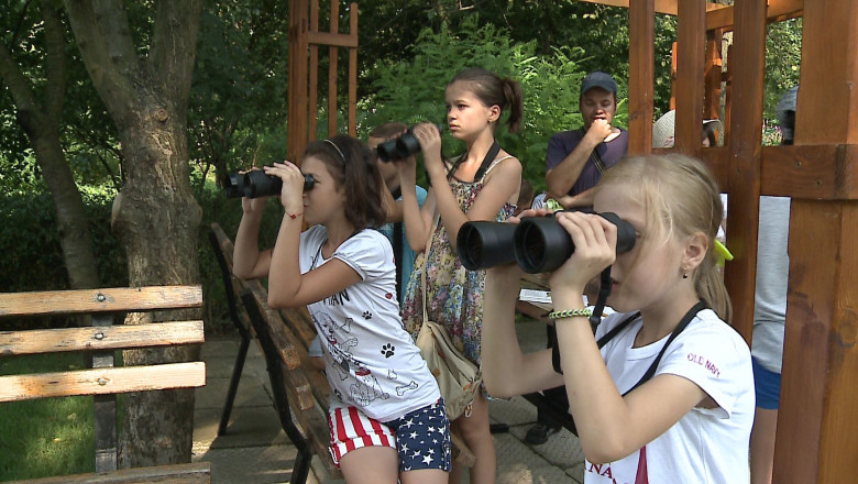 Scoala de vara ''Pasi in lumea pasarilor''. Elevii de gimnaziu pot observa pasarile in mediul lor natural Imagine