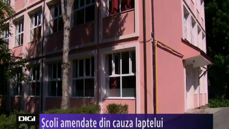 Scoli amendate din cauza laptelui Imagine