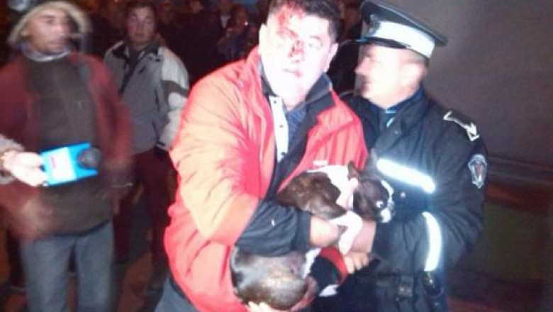 Scrisoare deschisa a deputatului PSD care s-a ascuns in tufis dupa un accident: „Am fost vanat ca un caine” Imagine