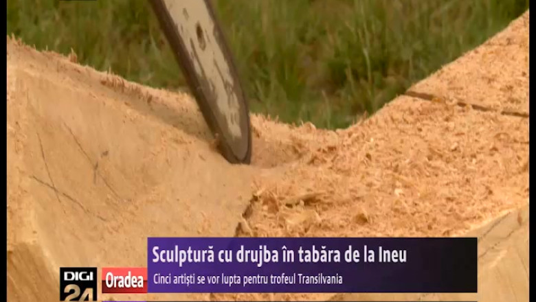 Sculptura cu drujba in tabara de la Ineu Imagine