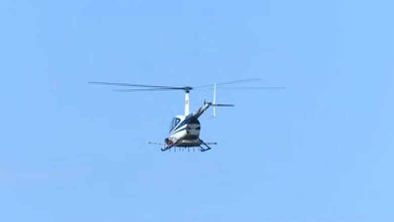 Scuze, in loc de dezinsectie. Primaria Timisoara nu a gasit un operator care sa se ocupe de tantari Imagine