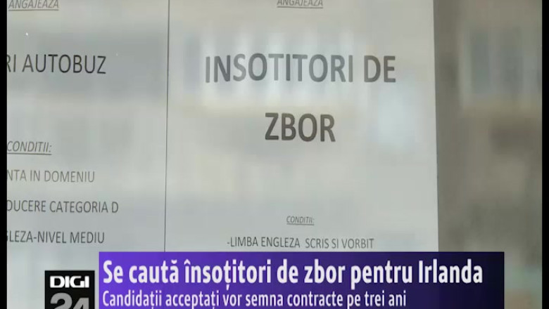 Se cauta insotitori de zbor pentru Irlanda de Nord Imagine