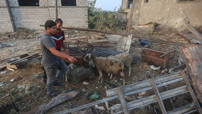 „Se chinuie sa gaseasca mancare si apa”. Unii locuitori din Gaza se intorc in nord din cauza „situatiei dezastruoase din sud” Imagine