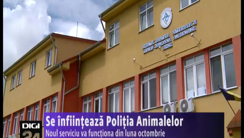 Se infiinteaza Politia Animalelor. Noul serviciu va functiona din octombrie Imagine
