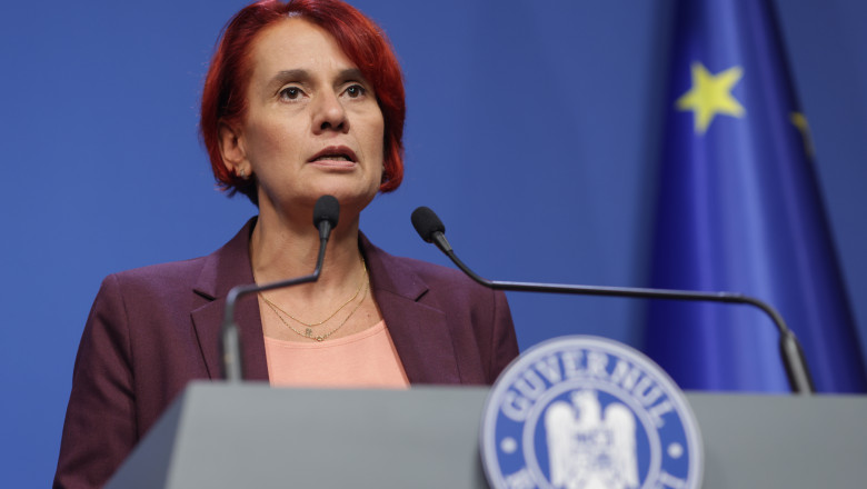 Se modifica legea ANI. Dogioiu: Proiectul introduce restrictii pre si post-angajare pentru demnitari si personal contractual Imagine