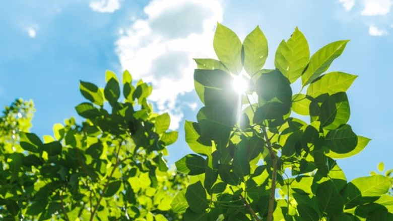 „Se vindeca.” Cand estimeaza ONU ca ar urma sa se refaca stratul de ozon Imagine