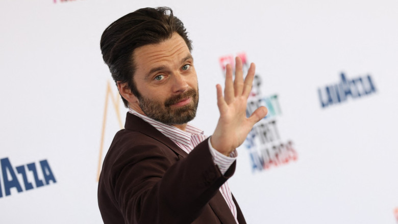 Sebastian Stan va juca in „Frankenstein in Romania”, regizat de Radu Jude. Filmul va include o inchisoare CIA si legenda monstrului Imagine