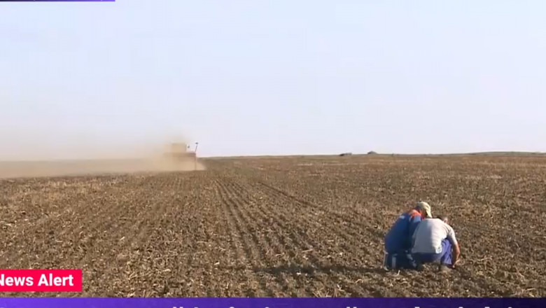 Seceta extrema afecteaza grav culturile. „Nu a plouat de 2-3 luni. Samanta o punem in pamant, dar Dumnezeu stie ce s-o intampla cu ea” Imagine