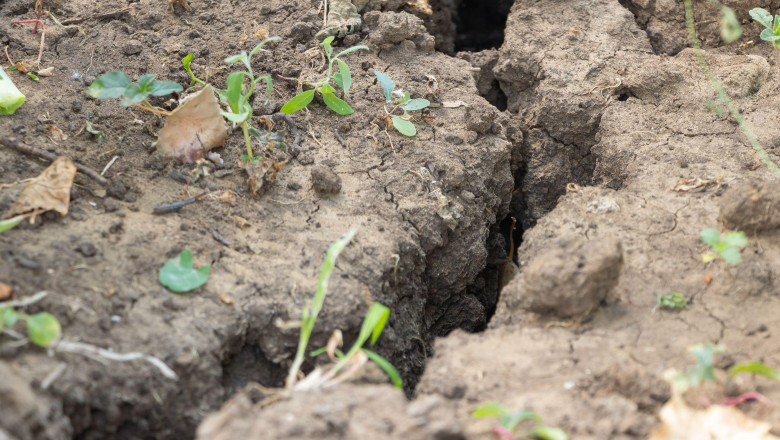Seceta face ravagii in nord-estul tarii. Furnizarea apei a fost restrictionata in 290 de localitati. Judetele cu probleme Imagine