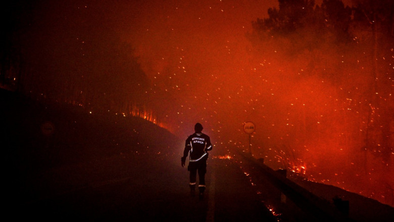 Seceta in Marea Britanie, incendii devastatoare in Franta si Portugalia. In Germania, pe Rin, unele nave nu mai pot naviga Imagine