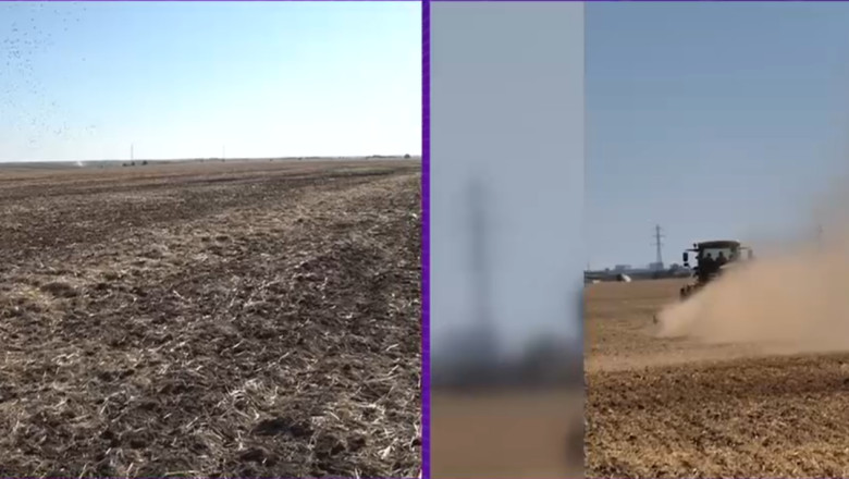 Seceta pedologica extrema in sudul tarii. Culturile de toamna nu pot rasari iar fermierii isi distrug utilajele in solul uscat Imagine