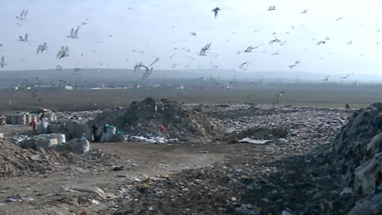 Sechestru pe groapa de la Glina. Patronii, suspectati ca spalau bani pentru mafia italiana Imagine