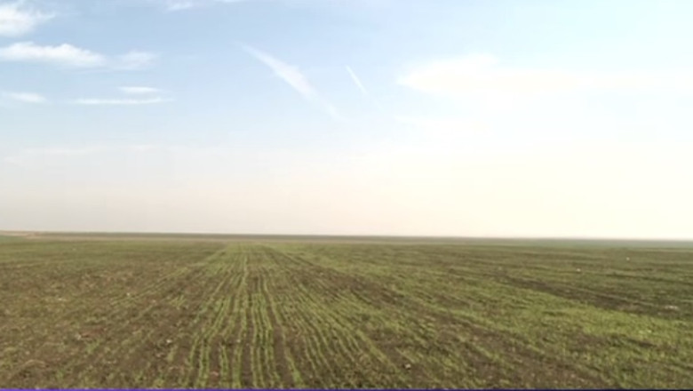 Sechestru pe o parte din terenurile de la Nana ale familiei Basescu Imagine