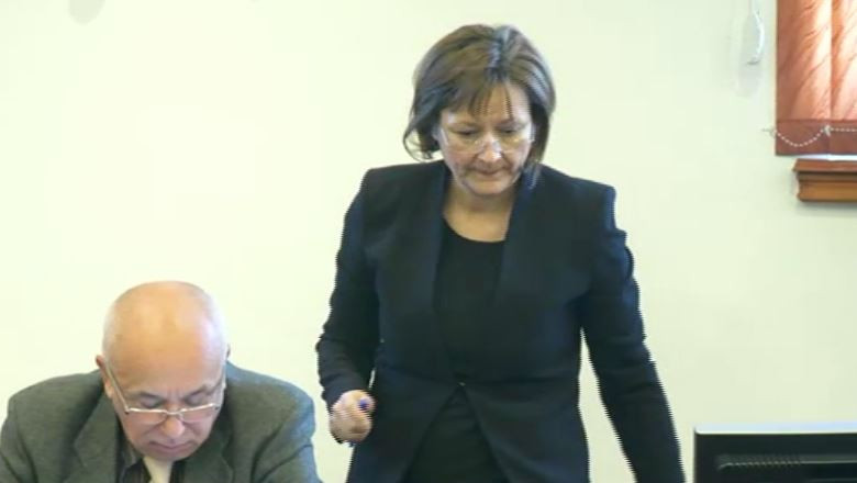 Sefa CNA, audiata de Comisia de Cultura a Camerei Deputatilor Imagine