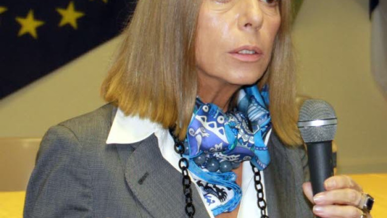 Sefa Institutului Cultural Roman de la Paris si-a dat demisia Imagine