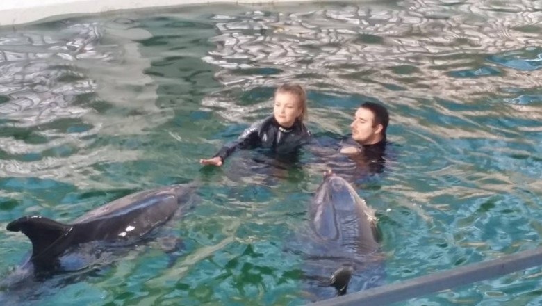 Selfie cu delfinii, noua moda la Delfinariul din Constanta Imagine