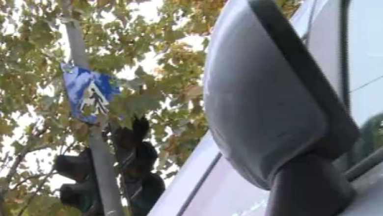 Semne invizibile. Sute de indicatoare rutiere din Capitala nu se vad din cauza copacilor Imagine