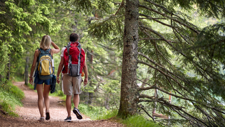 Senatul reglementeaza amenajarea, administrarea si conservarea potecilor turistice Imagine