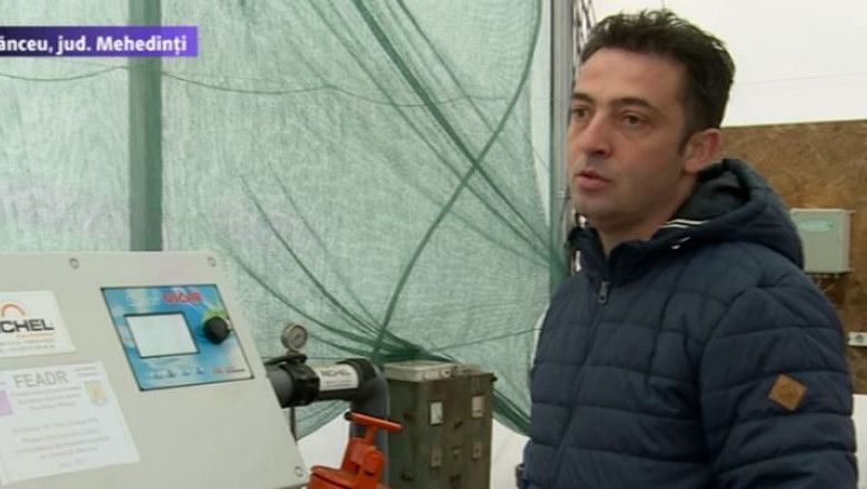 Sera hi-tech. Un agronom din Mehedinti a investit peste un milion de euro in solarii moderne Imagine