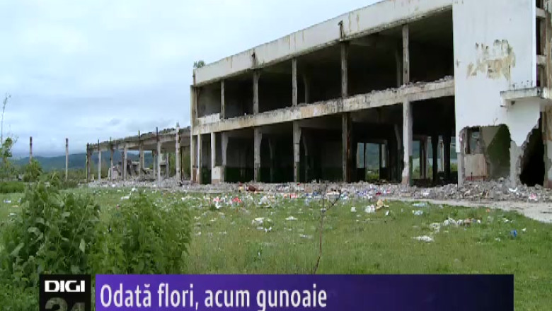 Sere Codlea: Odata flori, acum gunoaie Imagine