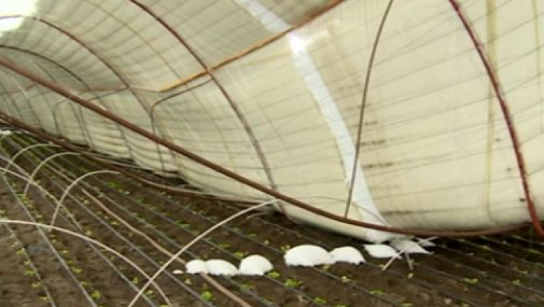 Sere si solarii distruse de caderile abundente de zapada in Buzau si Galati Imagine