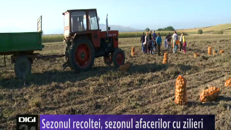 Sezonul recoltei, sezonul afacerilor cu zilieri  Imagine