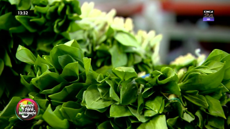 Sfaturile specialistilor pentru o detoxifiere a organismului intr-un mod sanatos Imagine