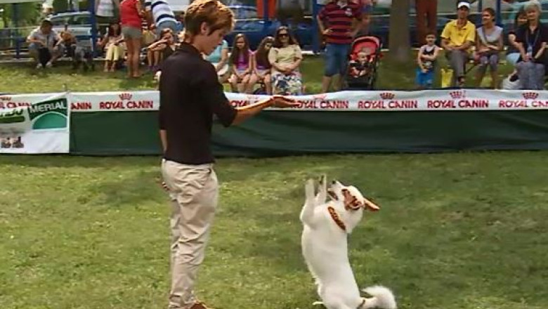 Si cainii stiu sa danseze Imagine