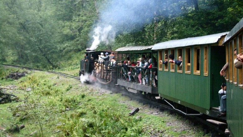 SIBIU. Campanie pentru repunerea in circulatie a mocanitei din Valea Hartibaciului Imagine