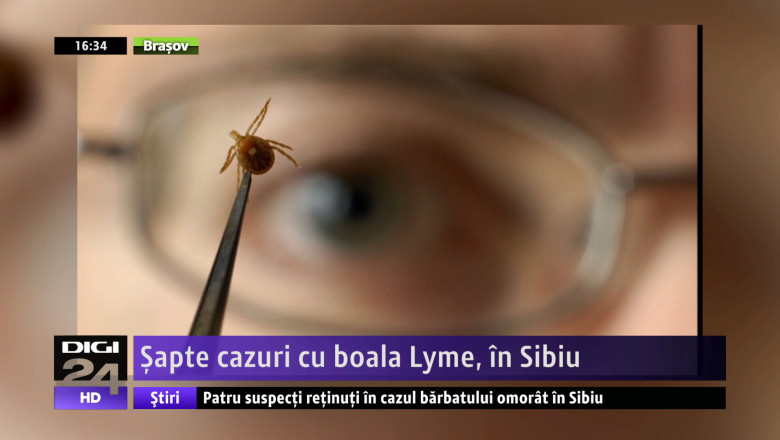 SIBIU. Capusele, dusmanul din iarba Imagine