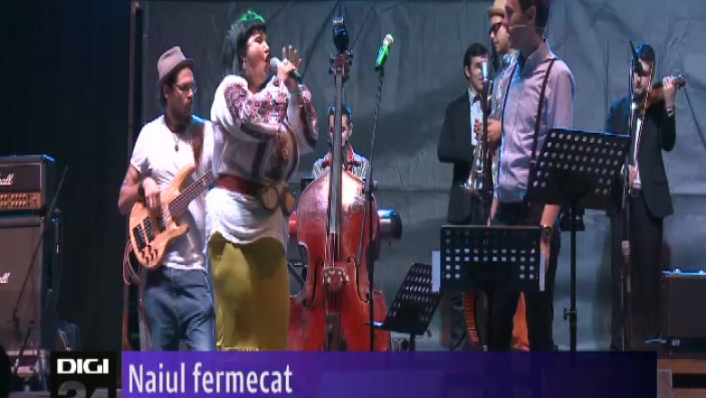 SIBIU. Naiul fermecat Imagine