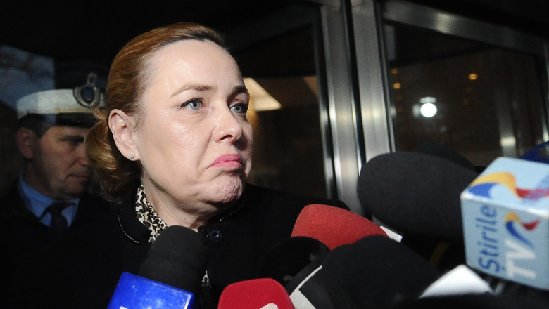 Simona Stan, sora fostei ministre de Interne Carmen Dan, retinuta intr-un dosar de inselaciune Imagine