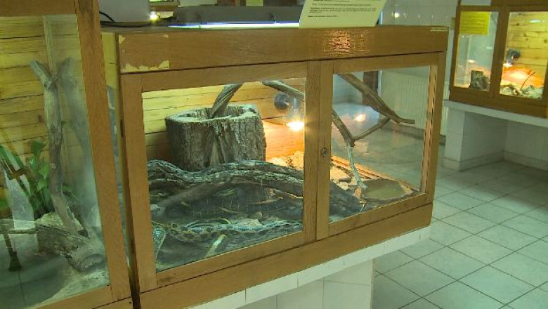 Singurul vivariu din tara, redeschis la Cluj Imagine