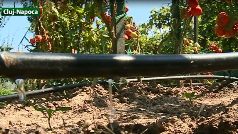 Sistem de irigatii controlat prin SMS Imagine