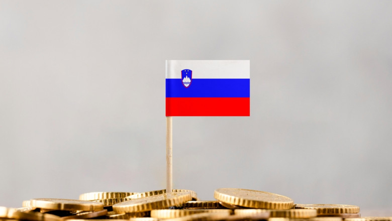 Slovenia va introduce in Constitutie dreptul de a utiliza numerar Imagine