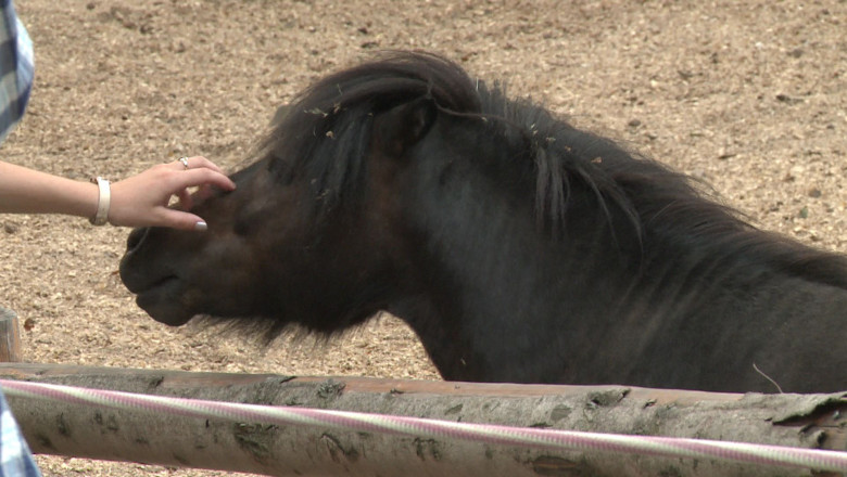 Snacks-urile si pufuletii dauneaza grav sanatatii... animalelor de la Zoo Imagine
