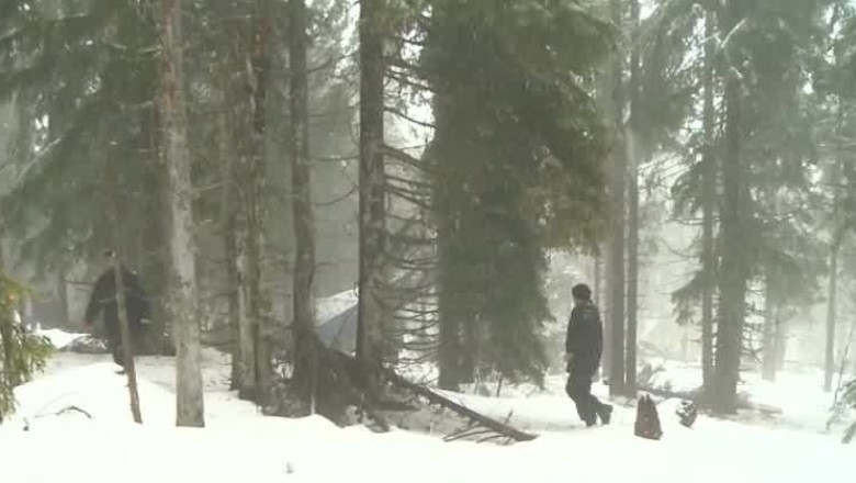 Soarta directorului STS, decisa duminica Imagine