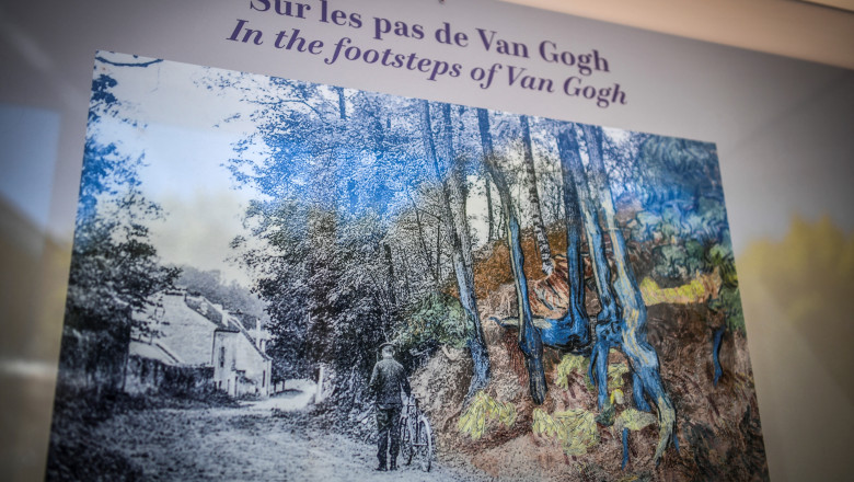 Soarta locului in care Van Gogh si-a pictat ultimul tablou, transata in instanta. Ce a provocat disputa intre proprietari si primarie Imagine