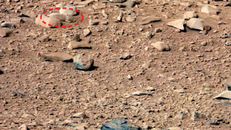 „Sobolanul martial”, descoperit in fotografiile facute pe Marte de roverul Curiosity Imagine