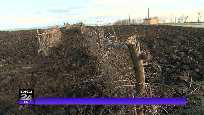 Solutii inedite de urgenta pentru deszapezire: strangerea de donatii, tractoarele consilierilor comunali sau parazapezile din nuiele Imagine