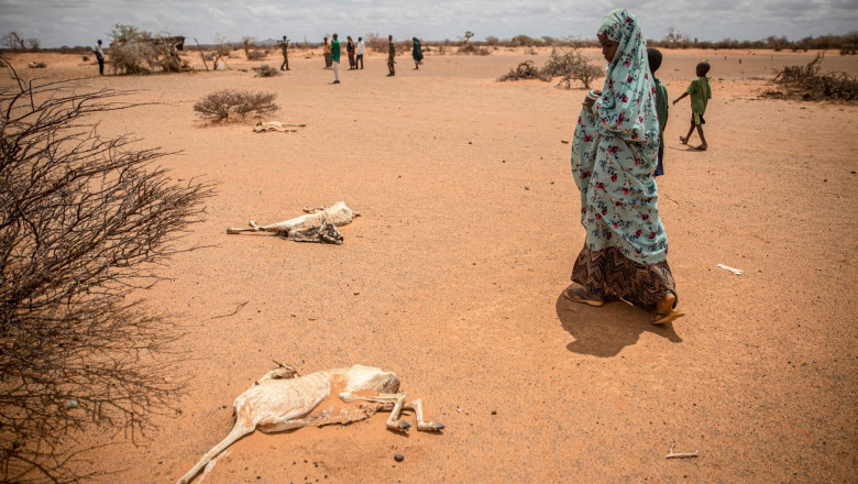 Somalia, din nou in pragul foametei. Avertismentul ONU: Sute de mii de oameni ar putea muri Imagine