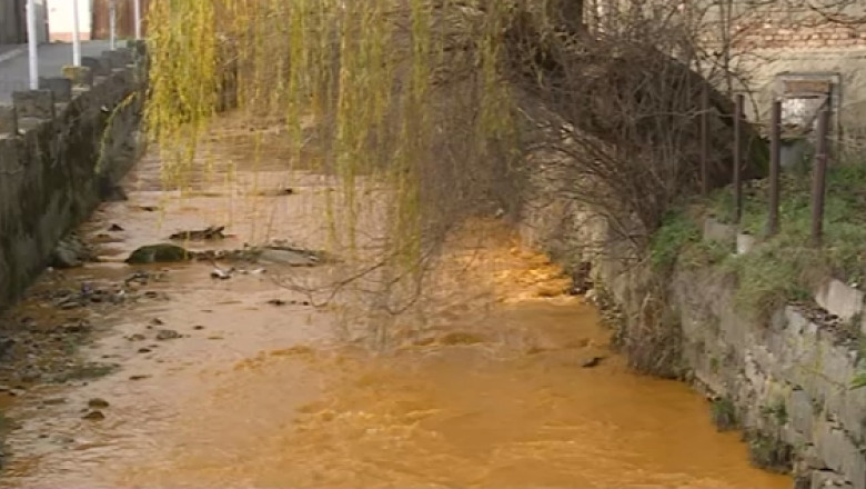 Somesul Mare, poluat de hotii de fier. Dupa ce au spart intrarea in galeria Minei Rodna, namolul toxic acumulat a ajuns in apa raului Imagine