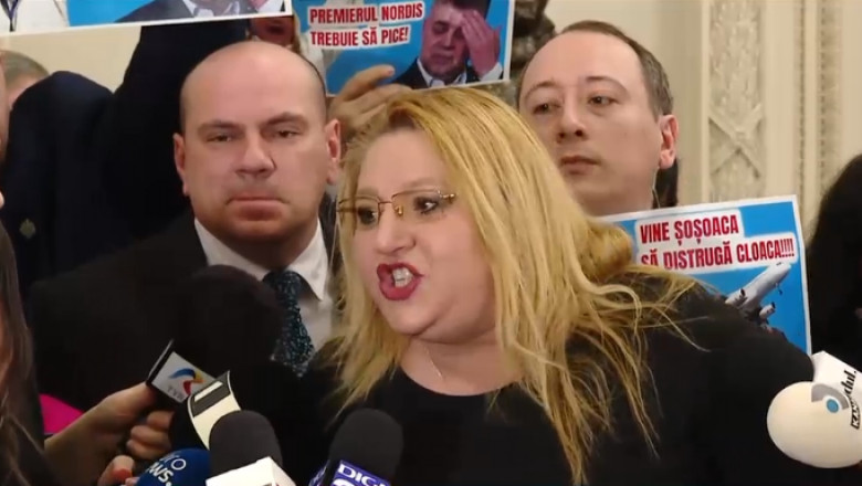 Sosoaca, limbaj suburban si jigniri la adresa unei jurnaliste Digi24, in Parlament. Reactia socanta a liderei SOS Imagine